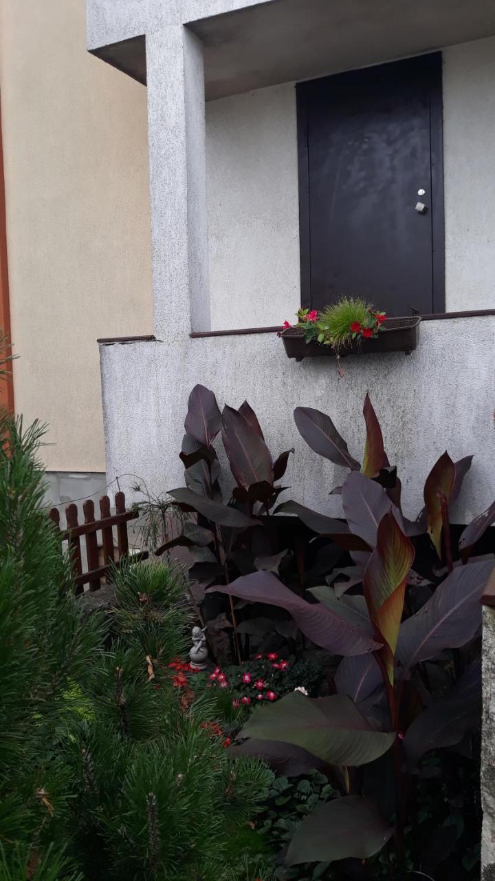 Sauliaus Apartamentai Panevėžys Buitenkant foto
